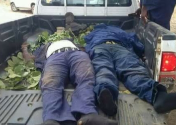 Corpse of 2 NSDC killed in benue by suspected Fulani herdsmen