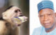 Monkey swallows N70m belonging to Northern Senators; Chairman suspended
