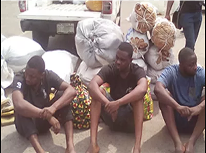 Lagos Police arrests drug syndicate that packages Indian hemp as Bible, Quran to fool operatives