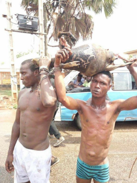 Look what a man did to thieves he caught roasting his goat in Lagos