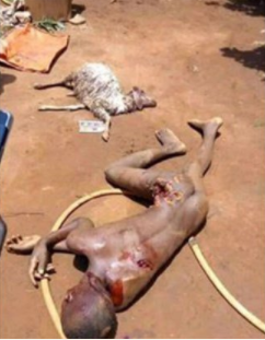 Starving lion mauls teenager to death in a zoo in Benin Republic (graphic photos)