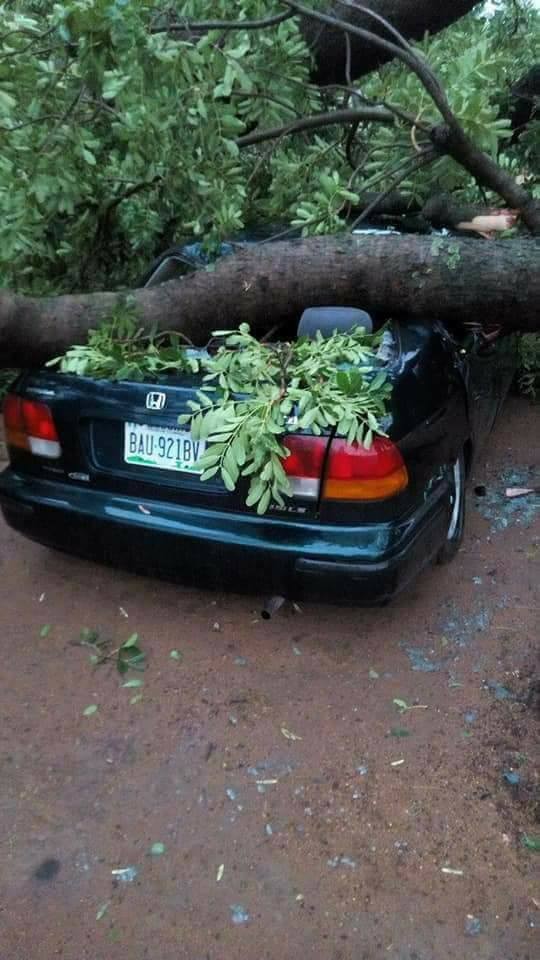 Sand storm and heavy rainfall wrecks havoc in Bauchi (photos)