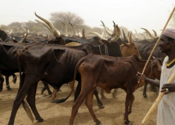 Fulani herdsmen