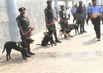 Nigeria Police inspecting security dogs