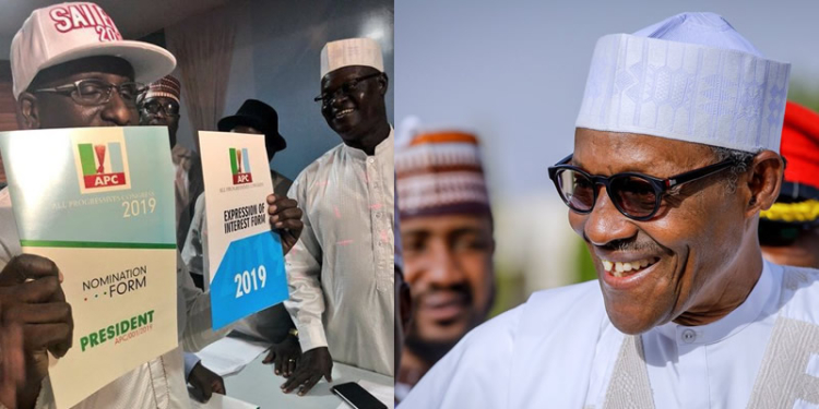 Nigeria Consolidation Ambassador Network purchases N45.5m presidential form for Buhari