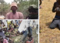 Boko Haram kills commander over plan to free 300 victims