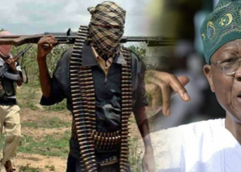 Boko Haram Insurgents, Lai Mohammed