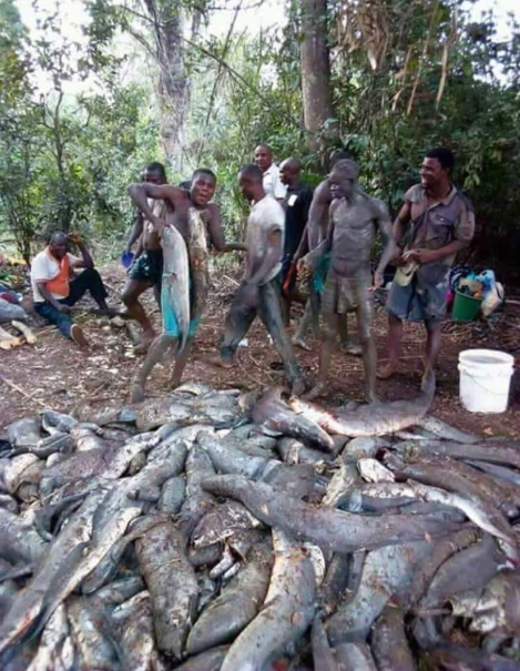 Massive flooding in Bayelsa "blesses" villagers with food (photo)
