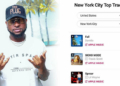 Davido’s song Fall tops New York City chart