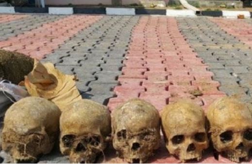 Couple and three other suspects arrested with 11 human skulls in Kwara State (Photo)