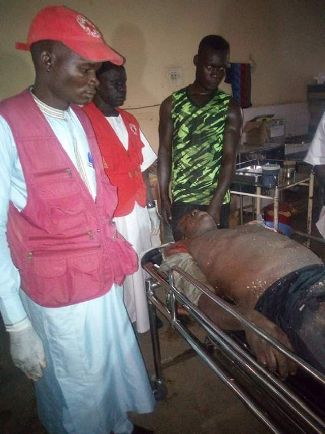 Photos: Huge tree falls on car in Adamawa, killing a popular Igbo Mechanic during heavy windstorm