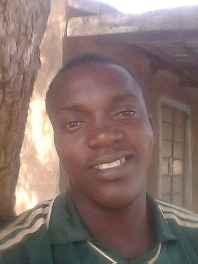 Photos: Huge tree falls on car in Adamawa, killing a popular Igbo Mechanic during heavy windstorm