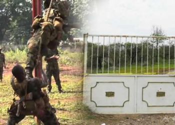 Illegal security training camp in Taraba