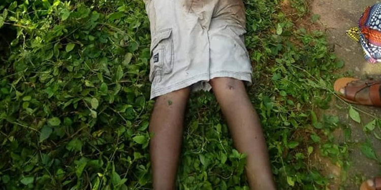 PDP ward executive killed in Imo