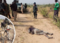 Boko Haram terrorist killed in Borno State