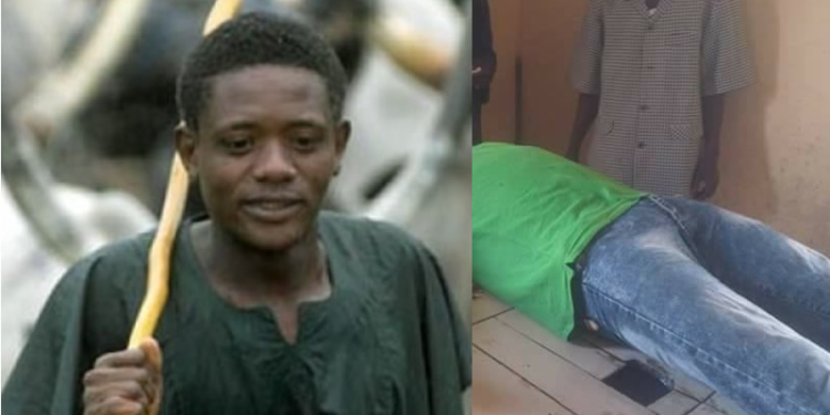 Herdsman beats brother to death