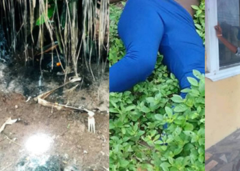 Eyes of murdered DELSU student found in shrine