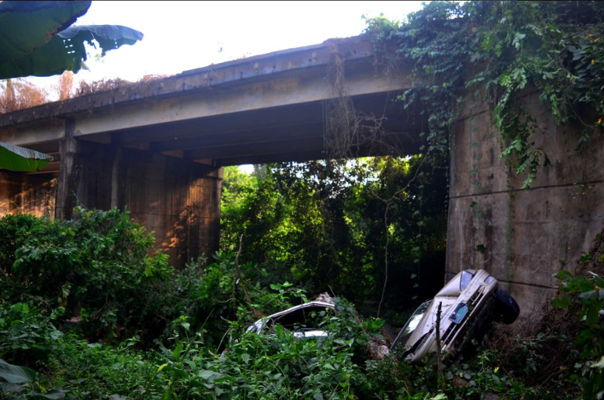 All occupants come out alive after two cars fell off a bridge and landed in the forest below