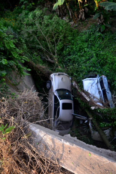 All occupants come out alive after two cars fell off a bridge and landed in the forest below