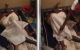 Man gets stuck while having sex with married woman (video)