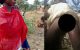 14-year-old girl cuts off rapist's manhood in Katsina