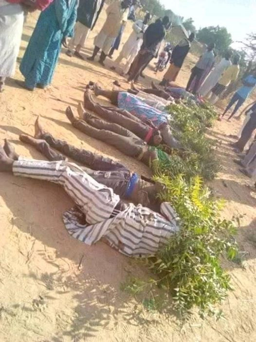 Update: Photos of people slaughtered by gunmen in Zamfara State
