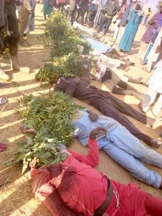Update: Photos of people slaughtered by gunmen in Zamfara State