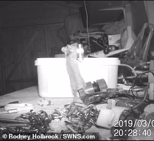 Man who always finds his shed arranged is shocked when a hidden camera shows it