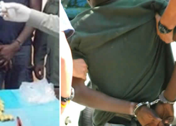 Drug trafficking: Another Nigerian arrested in Saudi Arabia