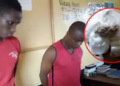 2 Nigerian Drug Dealers Were Busted By LDEA In Liberia