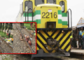Train crushes two to death in Kano
