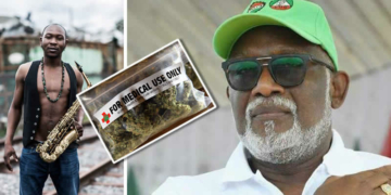 Seun Kuti, Governor Akeredolu. INSET: Medicinal Marijuana
