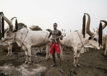 Fulani herdsman