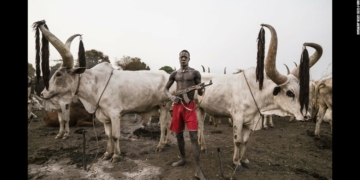 Fulani herdsman