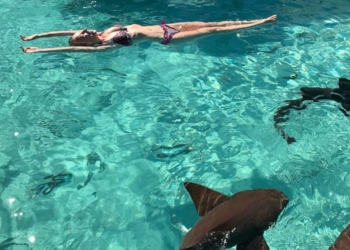 Woman attacked by sharks