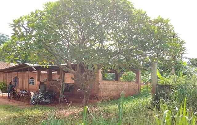 Photos: "I sheded tears when I passed there" - Man bemoans state of a primary school in Enugu State