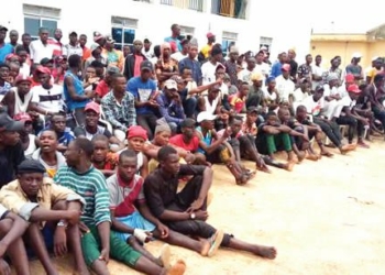 Photo: Reformed 500 thugs surrender in Bauchi