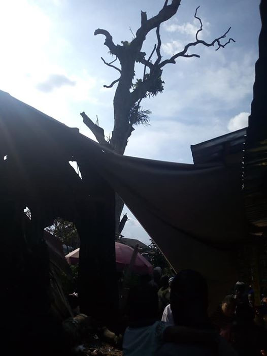 Photos: Trader, customer escape death by inches as huge branch breaks off ancient tree and crushes stall at market square in Umuahia
