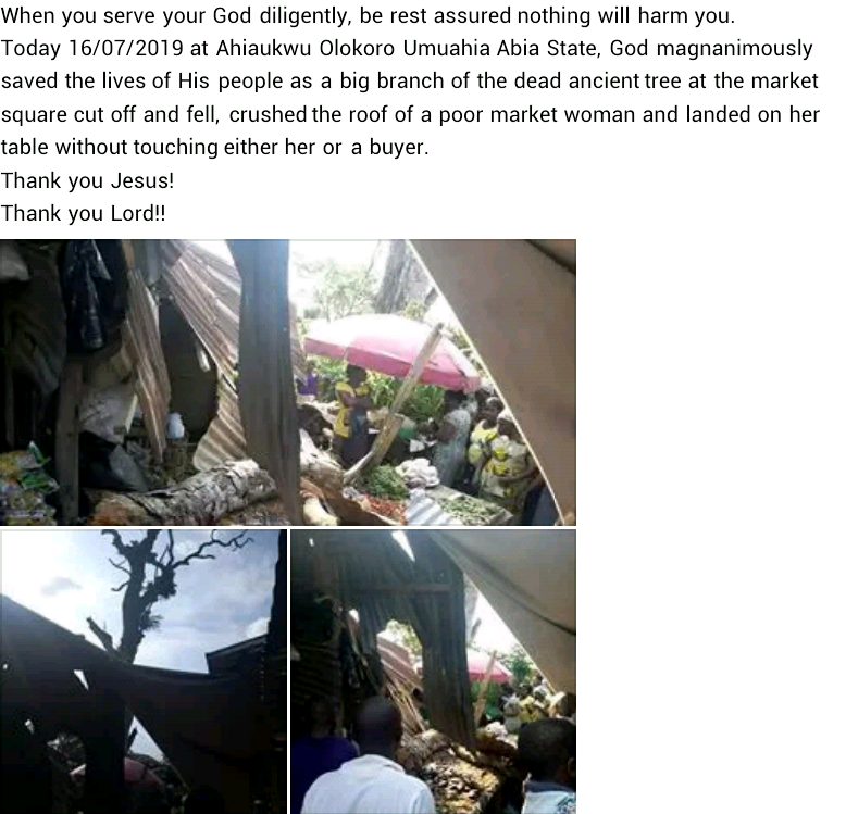 Photos: Trader, customer escape death by inches as huge branch breaks off ancient tree and crushes stall at market square in Umuahia