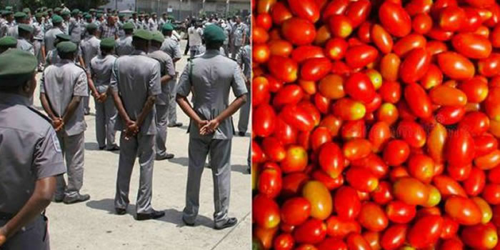 Customs officers, stock photo: Tomatoes