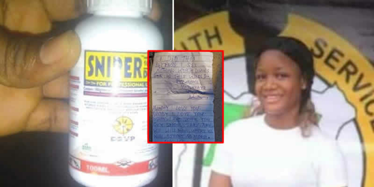 Sniper Insecticide, Bolufemi, INSET: suicide letter left behind