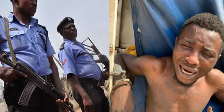 Police, arrested wanted cultist