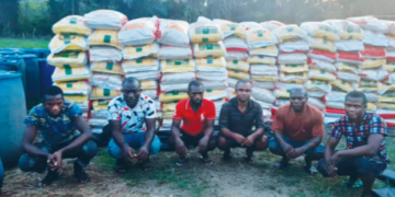 Cross section photo of arrested rice smugglers
