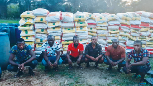 Cross section photo of arrested rice smugglers