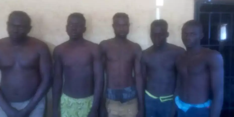 Arrested ritualists in Jalingo, the capital of Taraba State