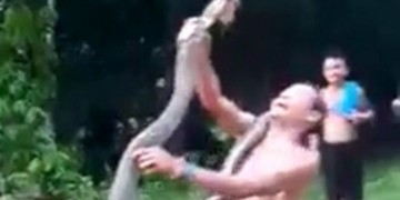 The snake charmer displaying his skills with king cobra