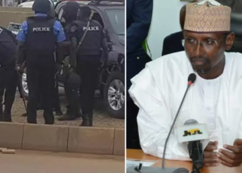 FILED PHOTO: Nigerian Policemen during an arrest; FCT Minister