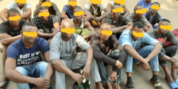 Cross section photo of the suspects during parade