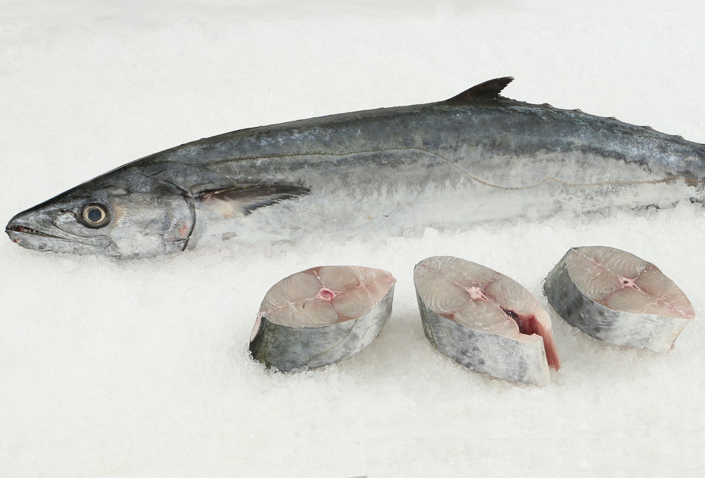 Fresh king mackerel fish