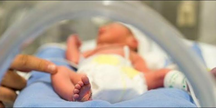 Newborn Baby (Image To Depict Story)